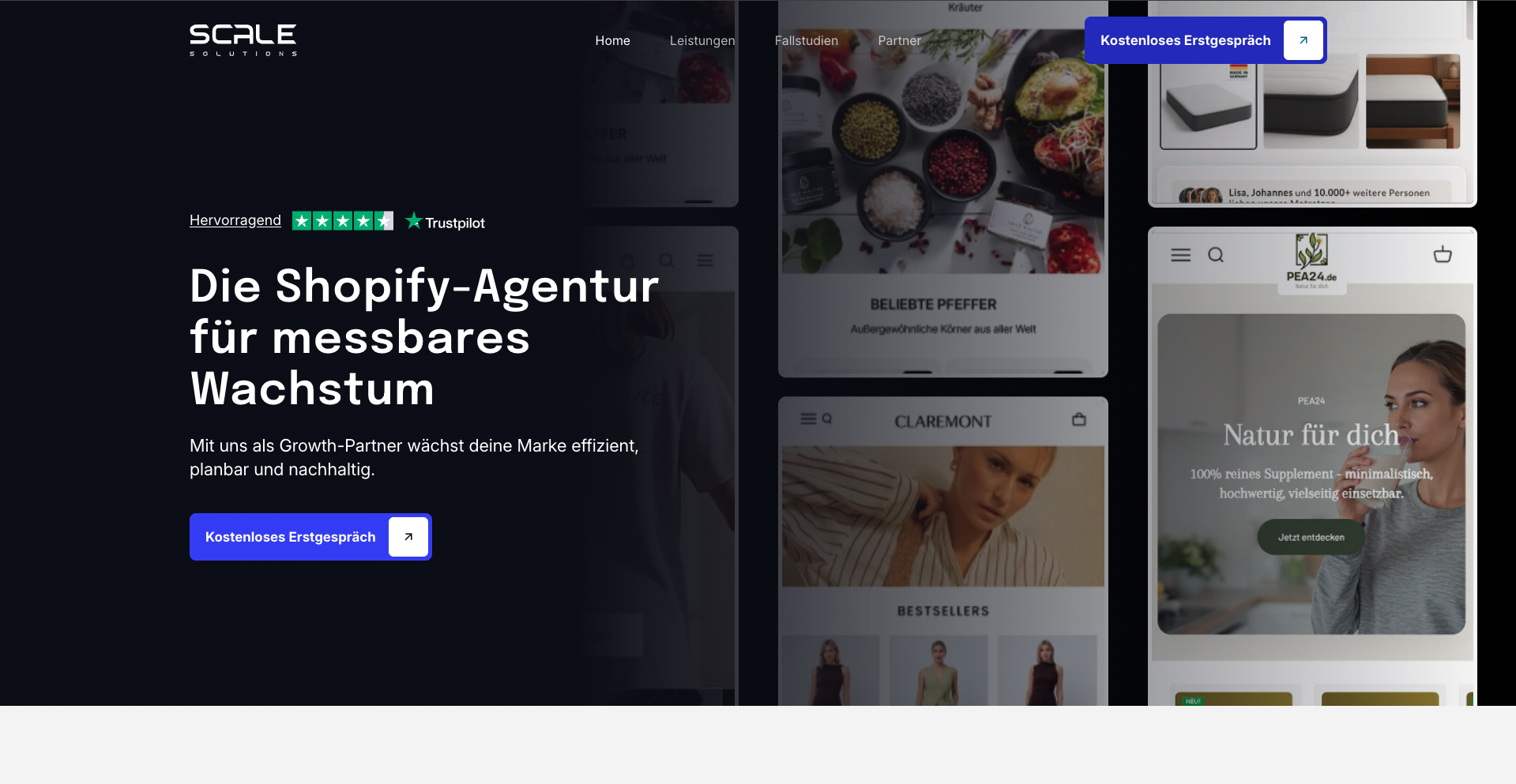 Scale Solutions Store